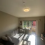New Renovated
