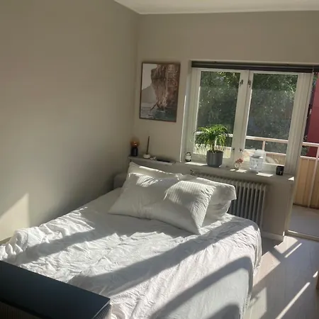 New Renovated *